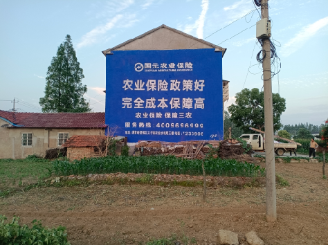 那坡墙体广告为何受追捧？