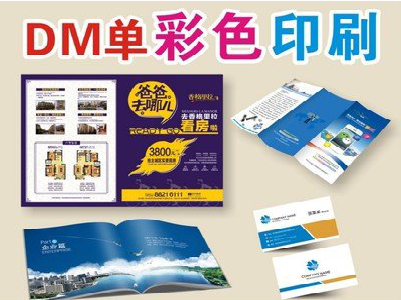 那坡单页印刷，色彩搭配简单。